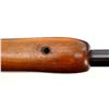 Image 15 : BSA ENFIELD | Model: P17 Sporter | Caliber: .30-06 SPRG