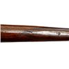 Image 10 : FREDRICK WILLIAMS | Model: Side By Side Hammer Gun | Caliber: 12 G X 2 5/8"
