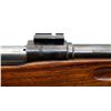 Image 14 : SWEDISH MAUSER | Model: 1896 Sporter | Caliber: 6.5 X 55