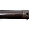 Image 10 : COOEY | Model: 84 | Caliber: 12 G X 3"