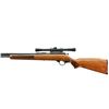 Image 5 : COOEY/WINCHESTER | Model: 600 | Caliber: .22 LR