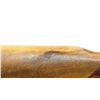 Image 7 : COOEY/WINCHESTER | Model: 600 | Caliber: .22 LR