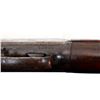 Image 15 : WINCHESTER | Model: 1905 SL | Caliber: .35 WSL
