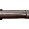 Image 11 : COOEY | Model: Ranger | Caliber: 12 G X 3"