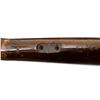 Image 11 : BAIKAL | Model: T03-12 | Caliber: .22 LR
