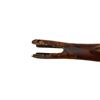 Image 17 : REMINGTON | Model: 10 | Caliber: 12 G X 2 3/4"