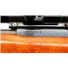 Image 8 : COOEY/WINCHESTER | Model: 64B | Caliber: .22 LR