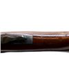 Image 12 : COOEY | Model: 84 | Caliber: 12 G X 3"