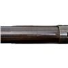 Image 13 : COOEY | Model: 84 | Caliber: 12 G X 3"