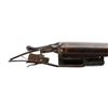 Image 3 : UNKNOWN BRITISH | Model: Side By Side Hammer Gun, Barrelled Action | Caliber: 12 G X 2 5/8"