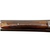 Image 10 : WARD & SONS BIRMINGHAM | Model: Side By Side Hammer Gun | Caliber: 12 G X 2 1/2"