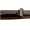 Image 14 : RUSSIAN MOSIN NAGANT | Model: 91/30 | Caliber: 7.62 X 54R