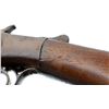 Image 8 : MAUREGAN ARMS | Model: Single Shot | Caliber: 12 G X 2 5/8"