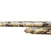 Image 10 : CHIAPPA | Model: 601 | Caliber: 12 G X 3"