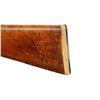 Image 7 : UNKNOWN BELGIAN | Model: Hammer Gun | Caliber: 12 G X 2 3/4"