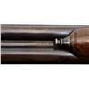 Image 13 : LIEGE BELGIAN | Model: Ranger | Caliber: 12 G X 2 1/2"