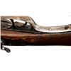 Image 18 : AMERICAN GUN CO | Model: Hammer Gun | Caliber: 12 G X 2 3/4"