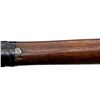Image 16 : REMINGTON | Model: 12A | Caliber: .22 LR