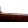 Image 28 : DEACTIVATED GERMAN MAUSER | Model: 71/84 Sporter | Caliber: .43 MAUSER