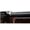 Image 14 : DEACTIVATED US BROWNING | Model: 1918 A2 Bar | Caliber: .30-06 SPRG
