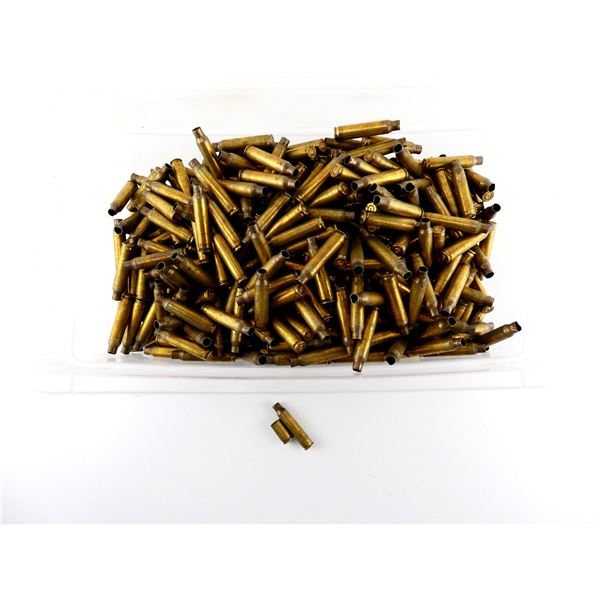 NON-PRIMED ASSORTED .223 REM AND 9MM LUGER BRASS CASES LOT
