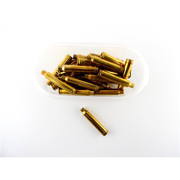 NON-PRIMED ASSORTED .300 WIN MAGNUM BRASS CASES LOT