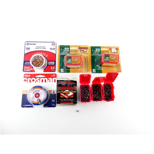 ASSORTED .22 CALIBER (5.5MM) PELLETS LOT