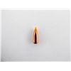 Image 3 : NOSLER .22 CALIBER BULLETS LOT