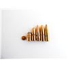 Image 2 : ASSORTED BULLETS AND GAS CHECKS LOT
