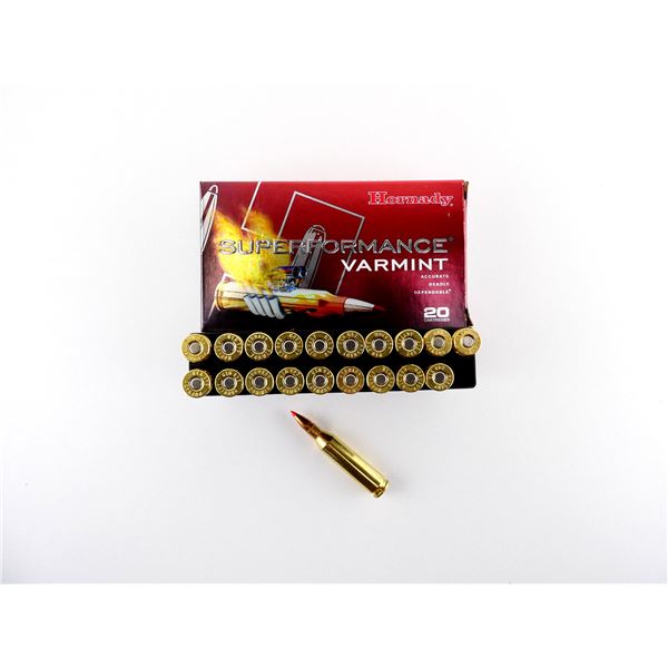 HORNADY .243 WIN AMMO LOT