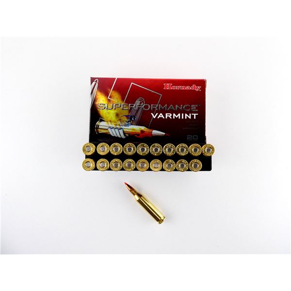 HORNADY .243 WIN AMMO LOT