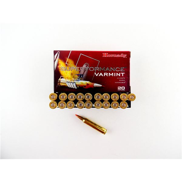 HORNADY .204 RUGER AMMO LOT