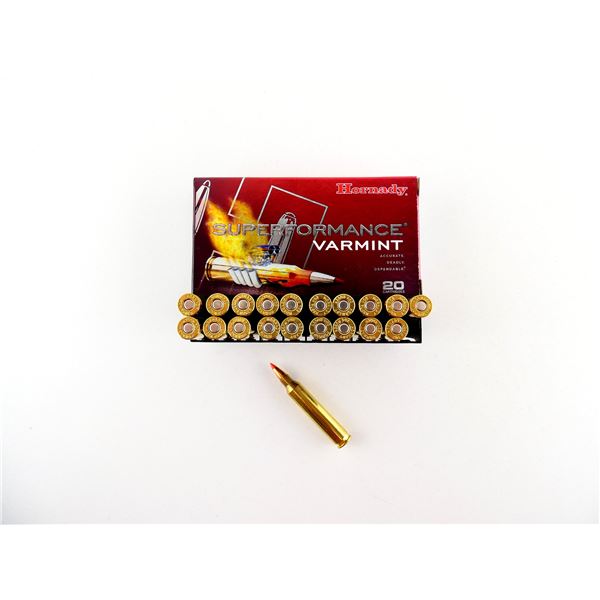 HORNADY .204 RUGER AMMO LOT
