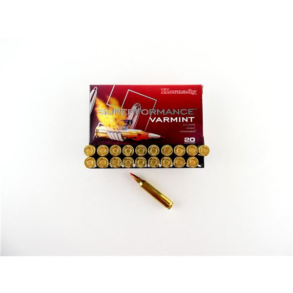 HORNADY .204 RUGER AMMO LOT