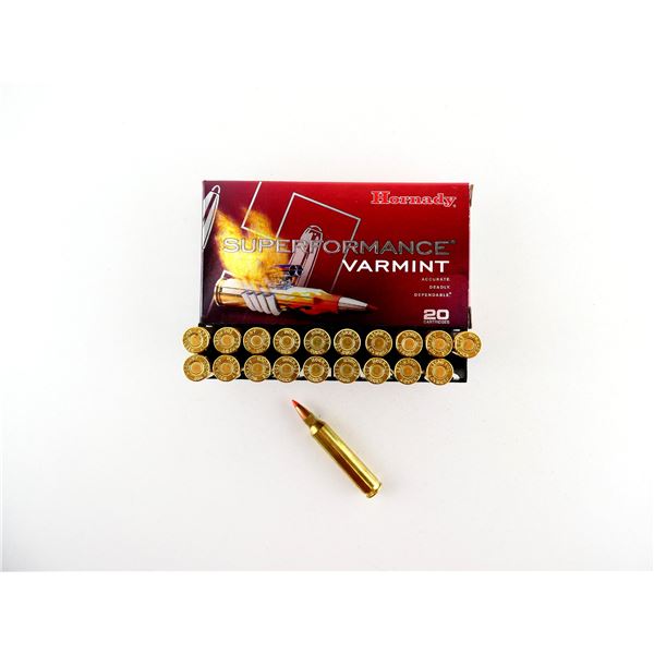 HORNADY .204 RUGER AMMO LOT