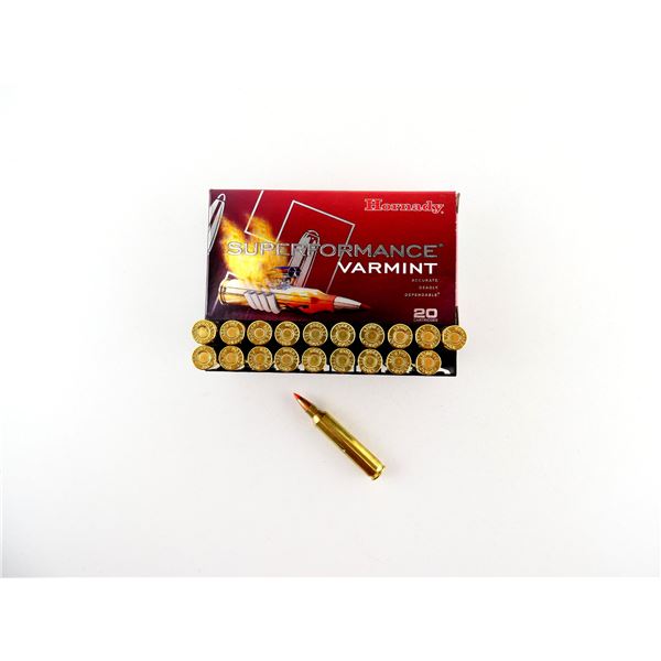 HORNADY .204 RUGER AMMO LOT