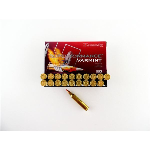 HORNADY .204 RUGER AMMO LOT