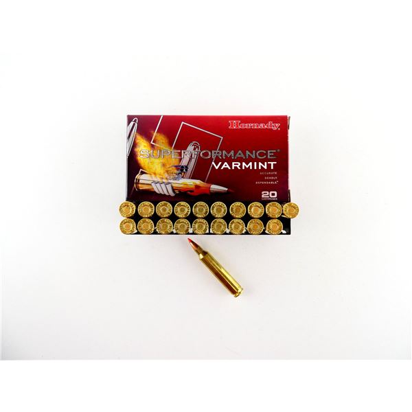 HORNADY .204 RUGER AMMO LOT