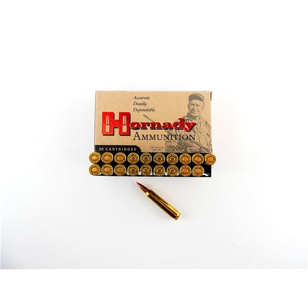HORNADY .204 RUGER AMMO LOT