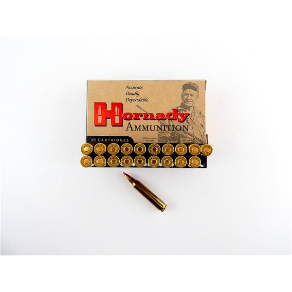 HORNADY .204 RUGER AMMO LOT