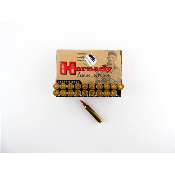HORNADY .204 RUGER AMMO LOT