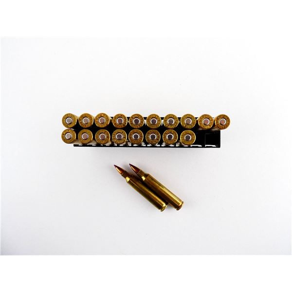 ASSORTED WINCHESTER AND HORNADY .204 RUGER AMMO LOT