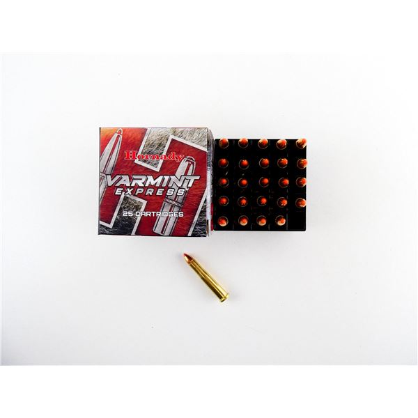 HORNADY .22 HORNET AMMO LOT