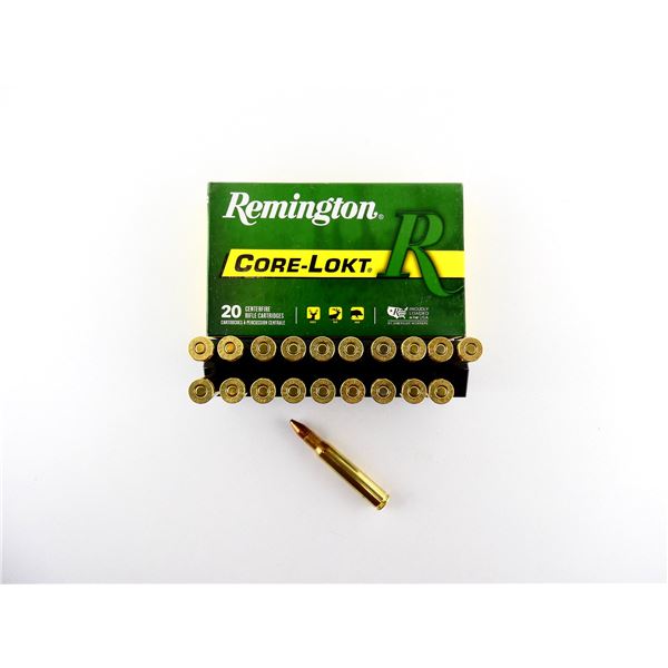 REMINGTON .30-06 SPRG AMMO LOT