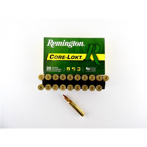 REMINGTON .30-06 SPRG AMMO LOT