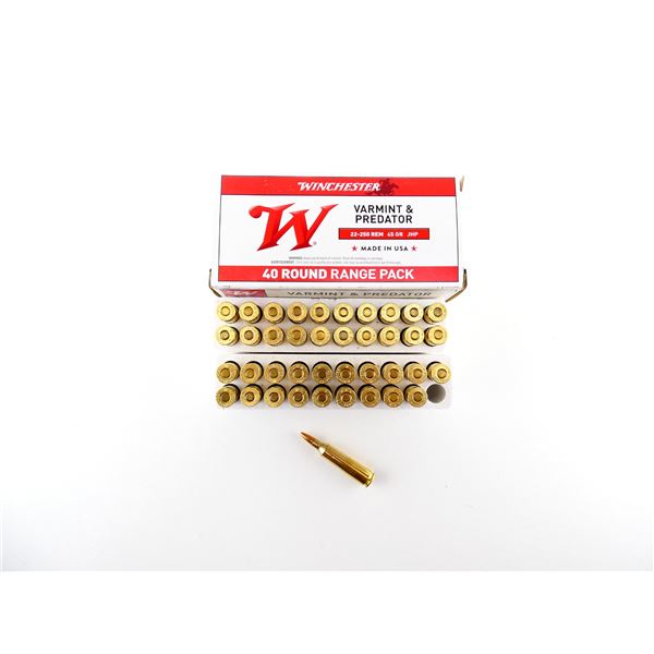 WINCHESTER .22-250 REM AMMO LOT