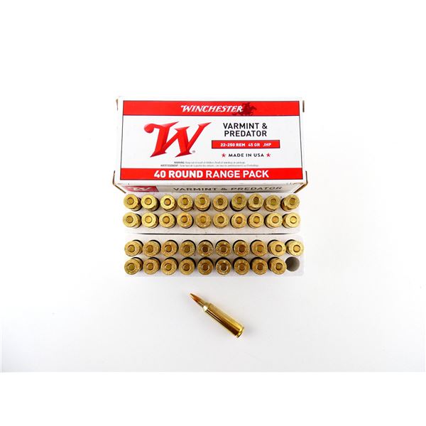 WINCHESTER .22-250 REM AMMO LOT