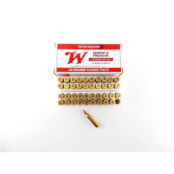 WINCHESTER .22-250 REM AMMO LOT
