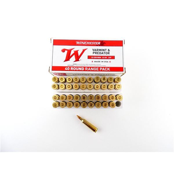 WINCHESTER .22-250 REM AMMO LOT