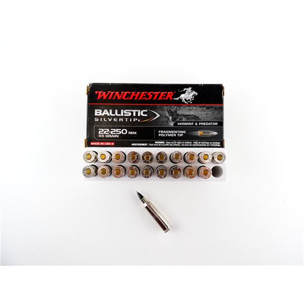 WINCHESTER BALLISTIC SILVERTIP .22-250 REM AMMO LOT